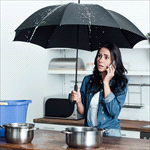 Prima Auto Open Colourised Fashion Umbrellas